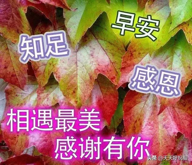 关于中元节的问候句子，中元节可以发问候语吗（7月15中元节清晨问候语句）