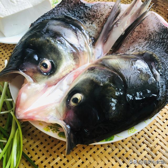 花鲢鱼头炖豆腐，花鲢鱼头豆腐汤的正宗做法（鱼肉鲜嫩豆腐细腻入味）