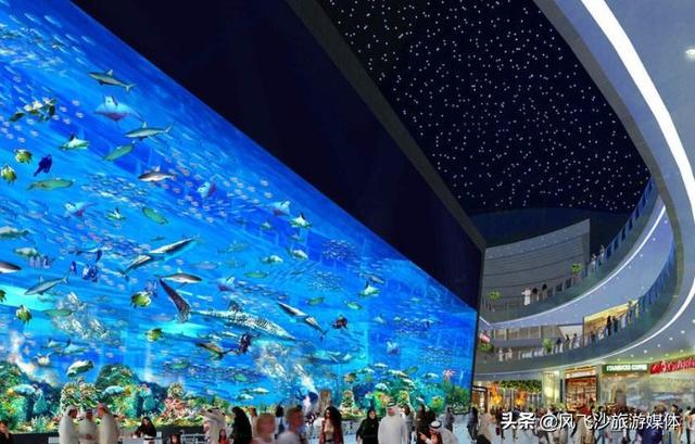 迪拜在什么地方，迪拜在哪里（你想知道的迪拜，都在这里了）