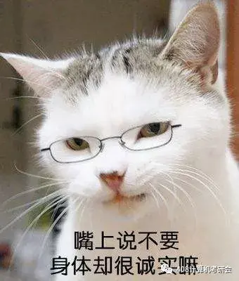 北航计算机考研，哪些学校计算机考研不考408（北航计算机考研：严厉的老父亲）