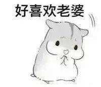 sd是什么意思，sd是什么意思追星（2018流行词语，来看一看吧）