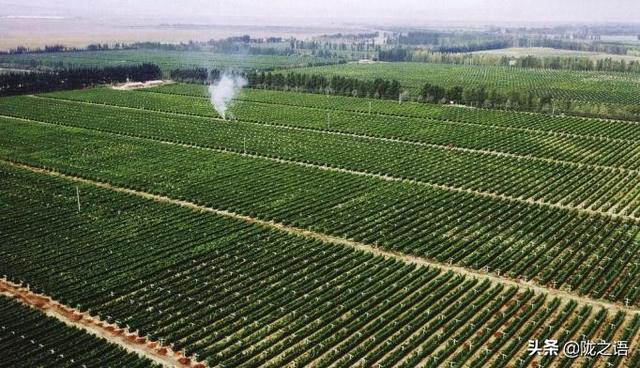 大西北是哪里，哪些地方属于大西北（在大西北有一个赛江南的地方叫张掖）