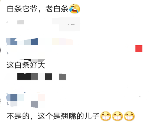 白条鱼能长多大，白条鱼和翘嘴鱼的区别（在安徽老家钓获巨型白条鱼）