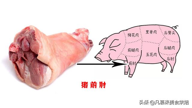 什么是母猪肉，猪肉都是母猪吗（猪肉各部位图解与介绍）