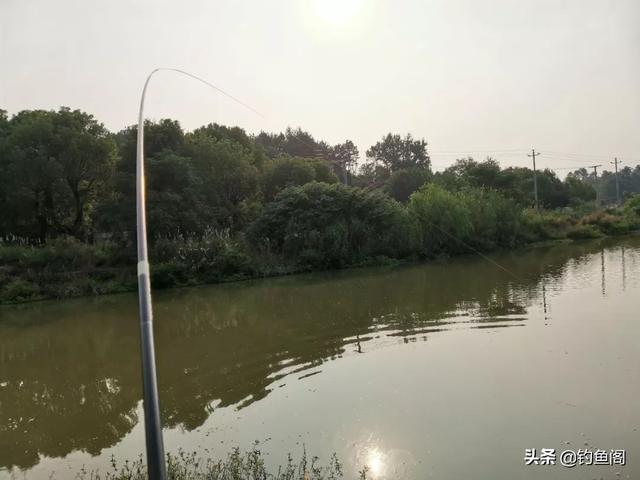 秋季钓鲢鳙方法，秋季钓鲢鳙方法和技巧（秋季钓鲢鳙要点）