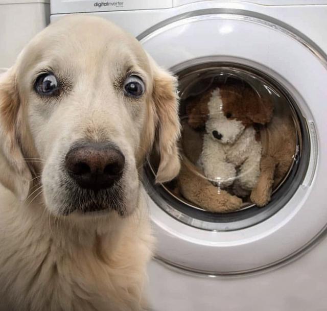 手洗洗衣液能放洗衣机吗，洗衣液能手洗吗（你洗衣服时的这5个错误习惯）