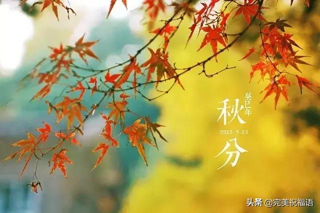 秋分祝福短信，金秋祝福短信（明日秋分，祝福送给您）