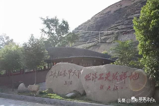 莲花峰茶不适宜哪些人喝，莲花峰茶有什么作用（了解福建全部茶叶看这一篇就够了）