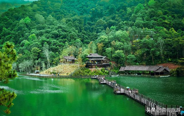 普洱旅游景点大全(云南普洱十大景点自驾游玩路线)