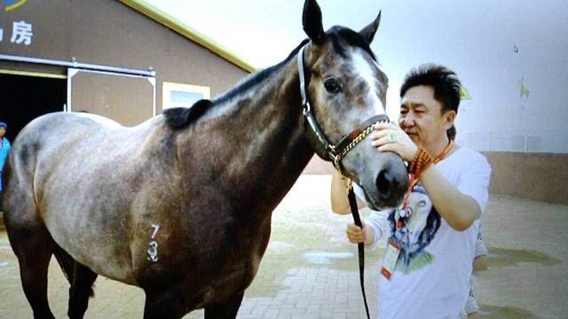 北京特色的京味文化传承，从《于谦动物园》的京味文化