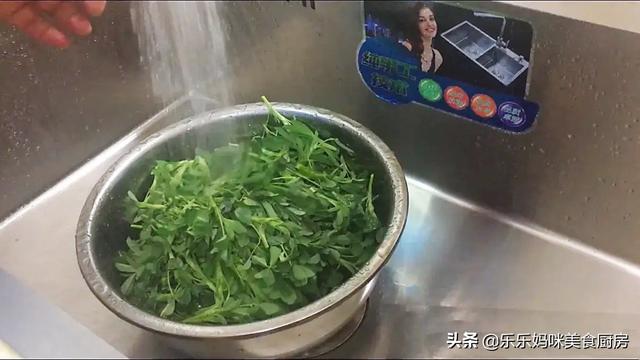 十大碱性食物排名，十大碱性水果排名（春季苜蓿正鲜嫩）