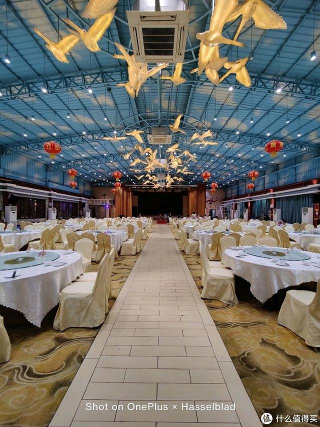 一加和oppo，一加手机是oppo的吗（谈谈我选择一加9Pro的购买取舍）