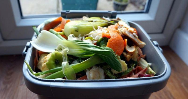 洗米水怎么处理才达标排放，洗米水能杀菌吗（就先将淘米水、菜叶子制作成肥料吧）