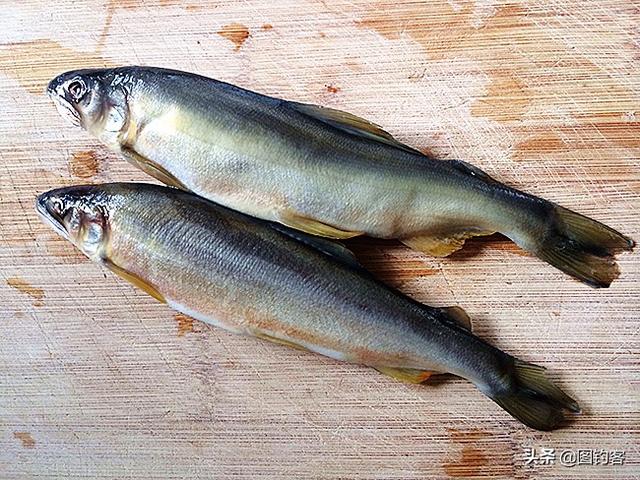 长江三鲜是哪三鲜，长江刀鱼图片（你知道中国名贵淡水鱼有哪些）