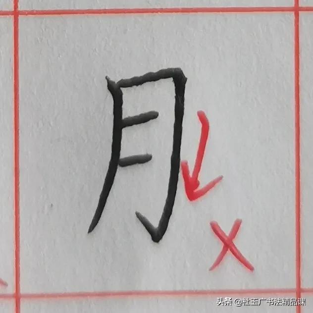 月的笔顺，月的笔顺图片（规范字书写要点归纳）