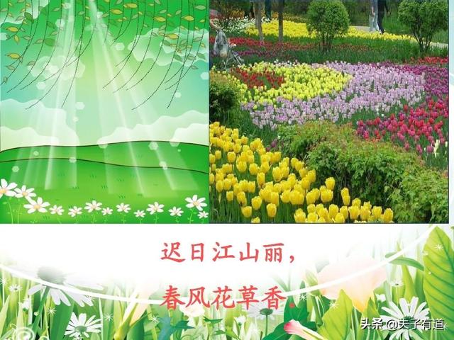 鸯字怎么组词，鸯字怎么组词三年级（部编版语文三年级下册第一单元汇总）