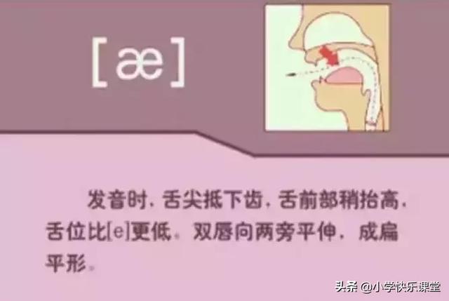 音标读音表发音教学，音素表怎么写（48个国际英语音标发音表及口型）