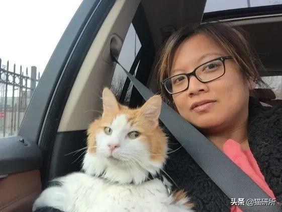 猫灌肠要多少钱 猫灌肠要多久才能排干净大便