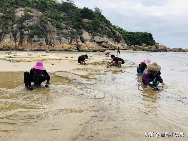 惠州海岛旅游景点哪里好玩，惠州野沙滩大汇总：8个野沙滩