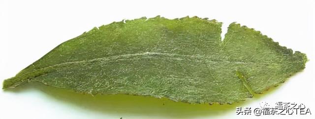 莲花峰茶不适宜哪些人喝，莲花峰茶有什么作用（了解福建全部茶叶看这一篇就够了）