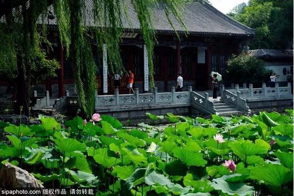 颐和园必看十大景点，颐和园有哪些景点值得去玩（这10个最美赏荷地等你来）
