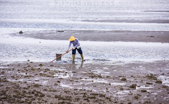 海陵岛有什么好玩的闸坡怎么样，闸坡海陵岛攻略（广东海陵岛超级实用的游玩攻略）