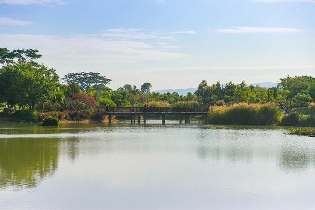 深圳十大免费景点，深圳十大必玩免费景点排名