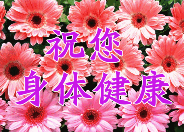 祝福健康的话，祝福健康的话语（祝你身体健康）