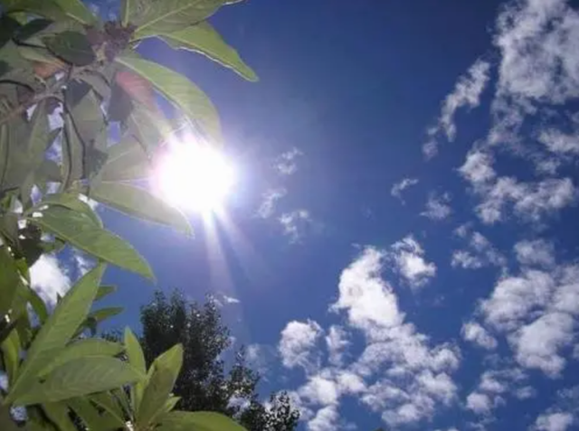 活性炭能除甲醛吗，5种最有效的除甲醛方法（如何正确使用活性炭除甲醛）