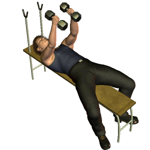 哑铃锻炼方法图解全套，哑铃锻炼方法图解——收藏版（9个哑铃动作帮你全身肌群）