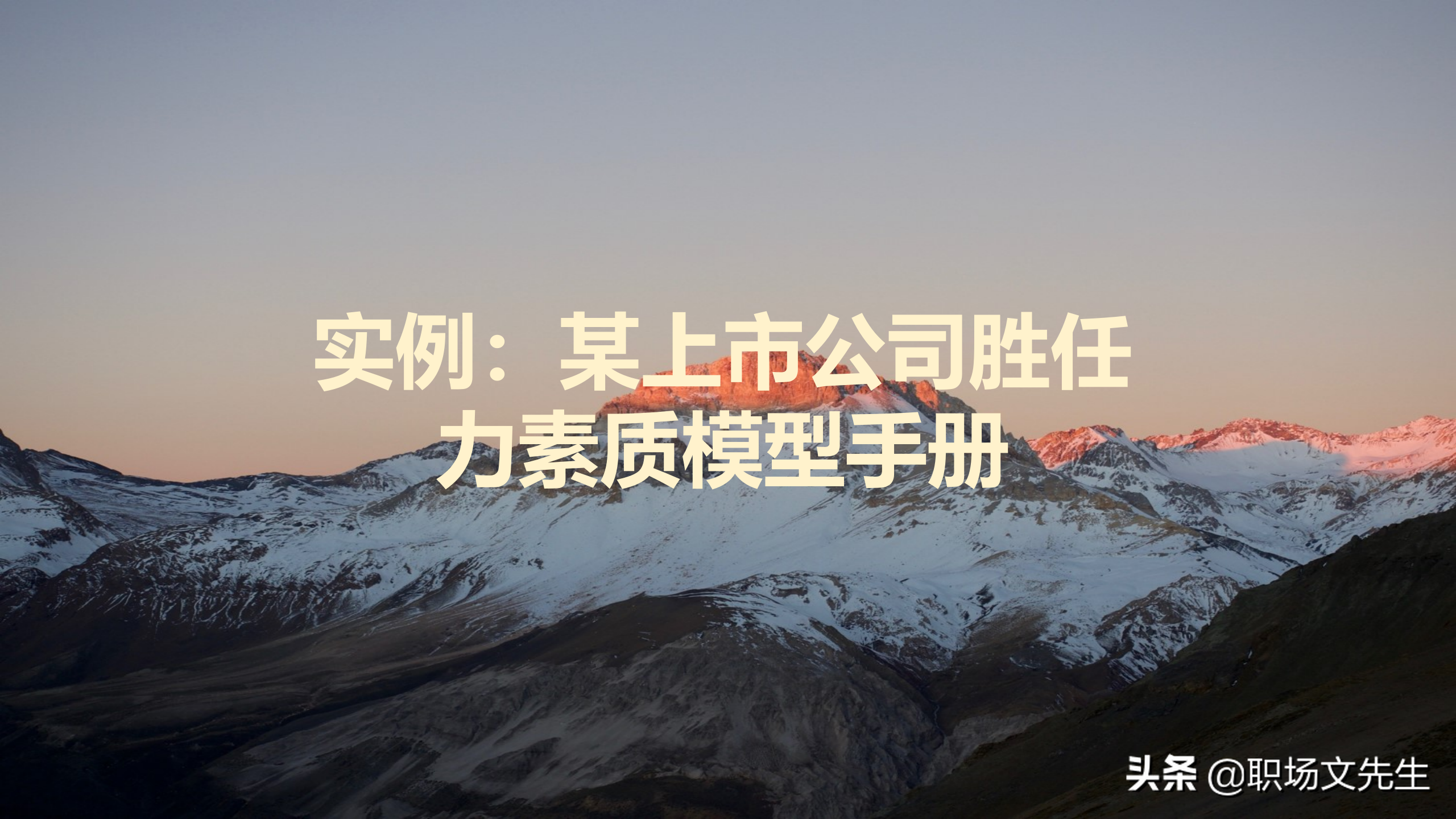 岗位胜任力模型案例（实例）