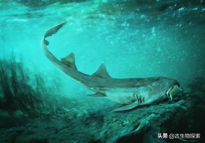 科学家发现与霸王龙同期共存的史前鲨鱼，命名为“霸王鲨”，揭示白垩纪海洋顶级掠食者生态。