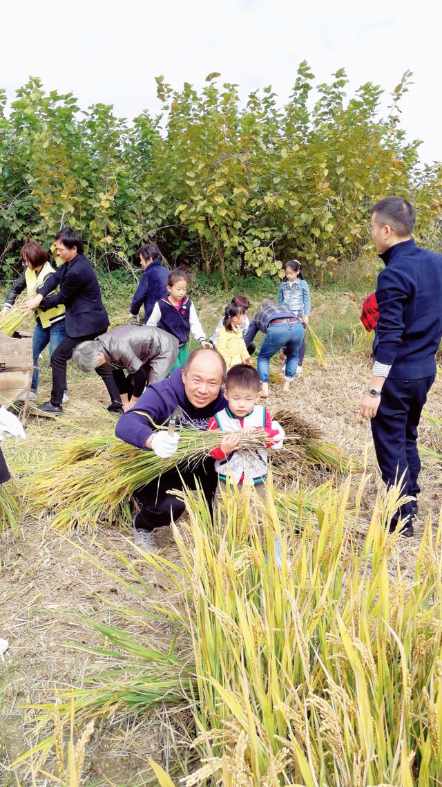 荒山野岭农场现状，兄弟俩买下300亩山头给孩子造农场