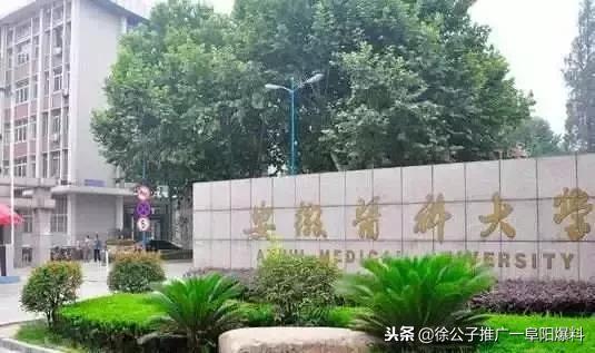 阜阳师范学院重点专业排名，2021年阜阳师范学院王牌优势专业名单（2018中国最好学科排名公布）