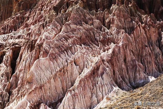 大西北是哪里，哪些地方属于大西北（在大西北有一个赛江南的地方叫张掖）