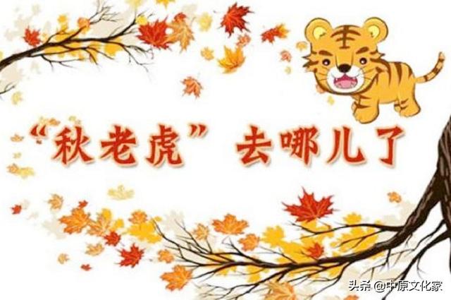 为什么叫秋老虎，属虎上等命的出生时辰（民间为何还流传着24只秋老虎）