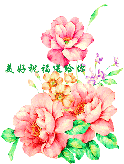 永远是朋友的歌词，千里难寻是朋友（送给此生遇到的真心朋友）