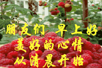 秘书节祝福语，部长祝福语简短（愿你这天好情绪）