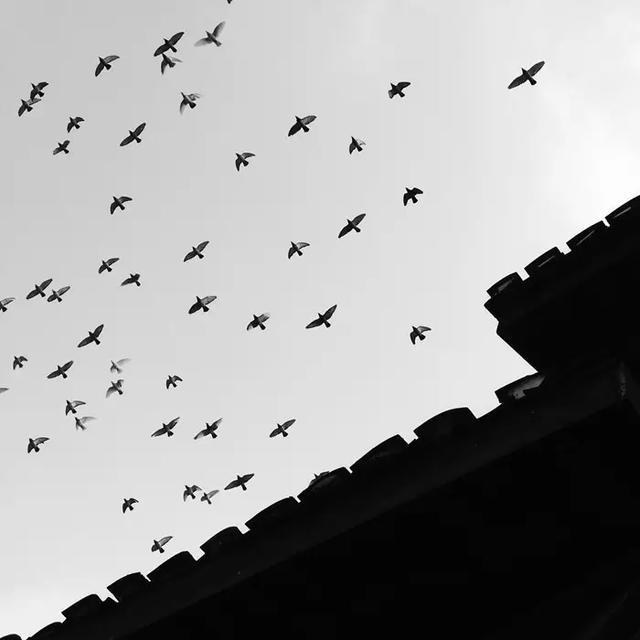 常见的几种摄影构图方式，10大构图法总有一款适合你