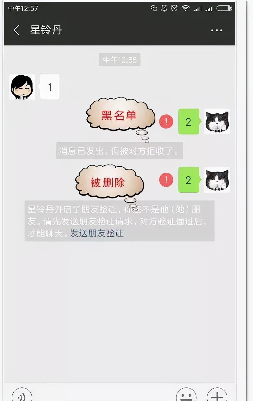 微信加入黑名单对方信息是什么状态（微信被拉黑和删除区别）