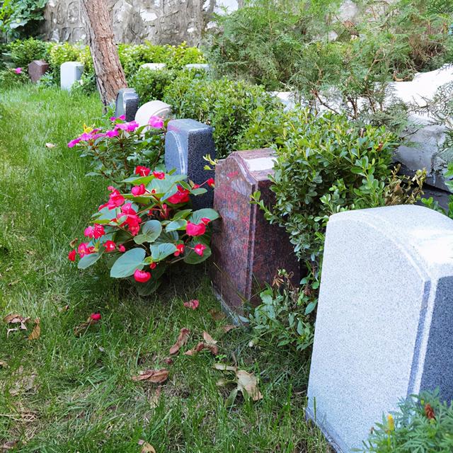 骨灰盒尺寸标准一般是多大的，骨灰盒尺寸标准一般是多大的啊（占地面积影响安葬吗）