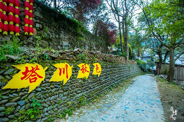 安徽塔川在哪个城市，安徽塔川是哪个县的（来踏青的游客数量让人意外）