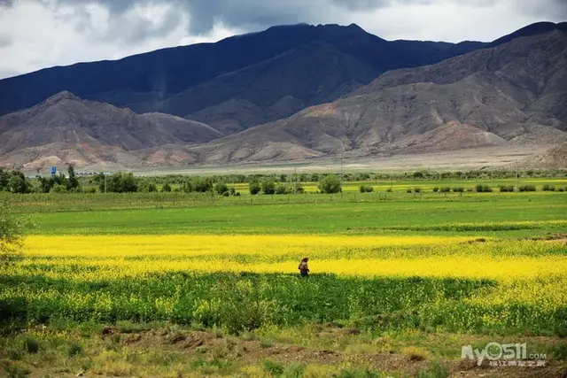 我的家乡在日喀则是什么歌，我的家乡在日喀则是什么歌歌词是什么意思（行走在通天的路上<中>）