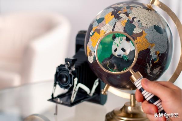 什么是熊猫债券，什么是熊猫债券基金（“熊猫”债券在世界多国受热捧）