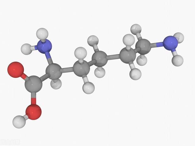 酸性氨基酸有哪些，酸性氨基酸包括哪些（<第2版>》读书笔记01197-氨基酸）