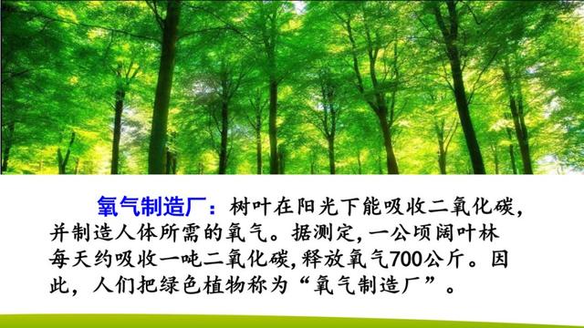 兴高采烈的反义词，不求甚解的反义词是什么（部编版二年级下册语文第4课《邓小平爷爷植树》知识点+图文讲解）