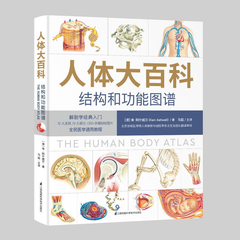 杨浦大桥的简单介绍，简单粗暴，这是一篇福利文