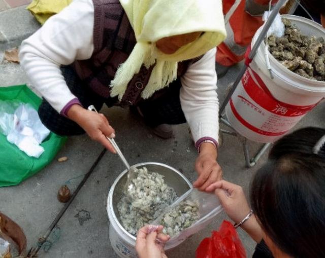 生蚝怎么处理干净，生蚝怎么清洗才干净（放淀粉只对了一半）