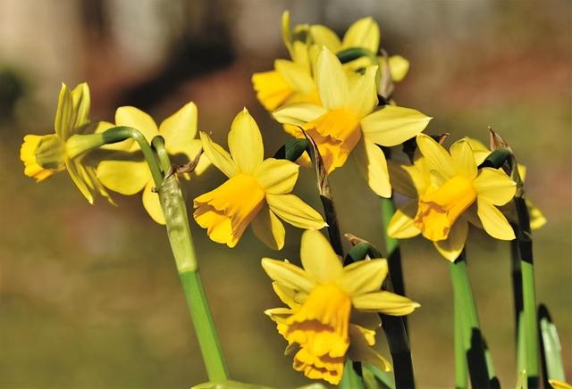 婚外情有真爱吗?会长久吗，婚外情能长期维持吗（婚外有真爱？别扯）