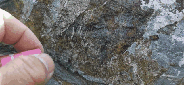 a6061是什么材质，材料6061是什么材质 （多一份关爱，傲雷i1R）